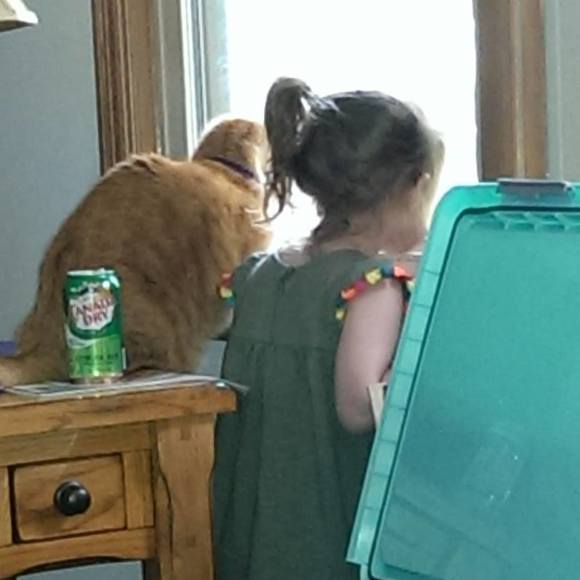 Meet your Posher, Carol - Picture 1 of 1